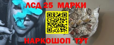 стафф Камышлов
