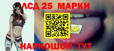 стафф Камышлов