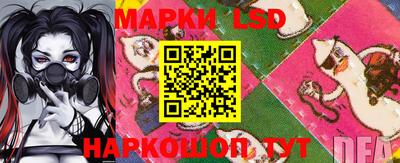 стафф Камышлов