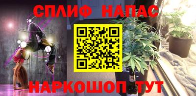 гидра Кандалакша