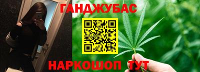 стафф Камышлов