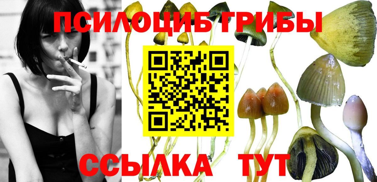 Псилоцибиновые грибы Magic Shrooms  закладки  Ярославль  Псилоцибиновые грибы ЛСД  Вход с VPN 